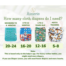 Load image into Gallery viewer, Infant Bundle Aimerie Econo Cloth Diapers With Inserts
